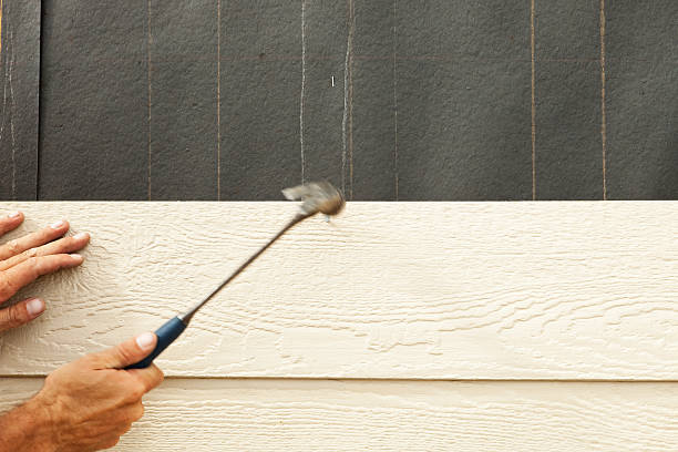 Best Vinyl Siding Installation  in Bremen, GA