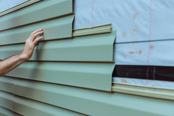 Best Custom Trim and Detailing for Siding  in Bremen, GA